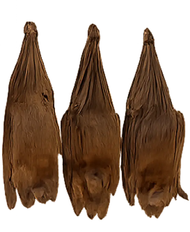 Bats